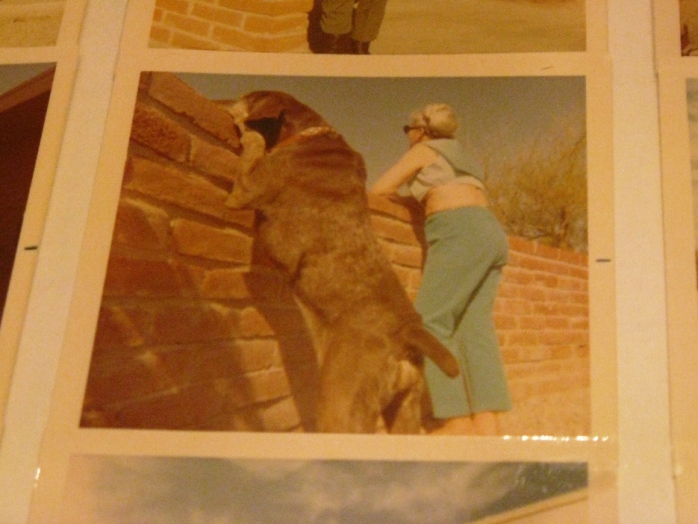 Dog and great grandmother at the wall by the house.